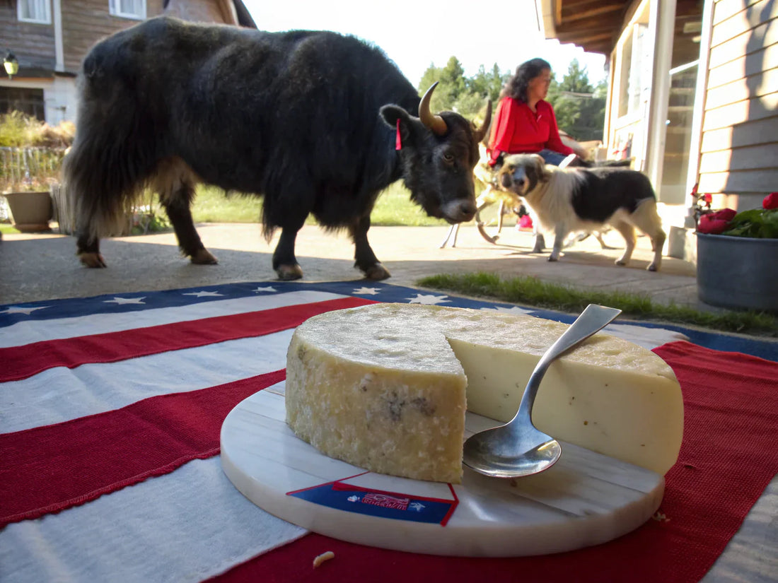 yak cheese