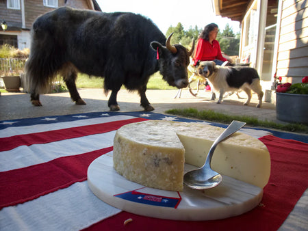 Yak Cheese Benefits: Your Essential Guide To Taste