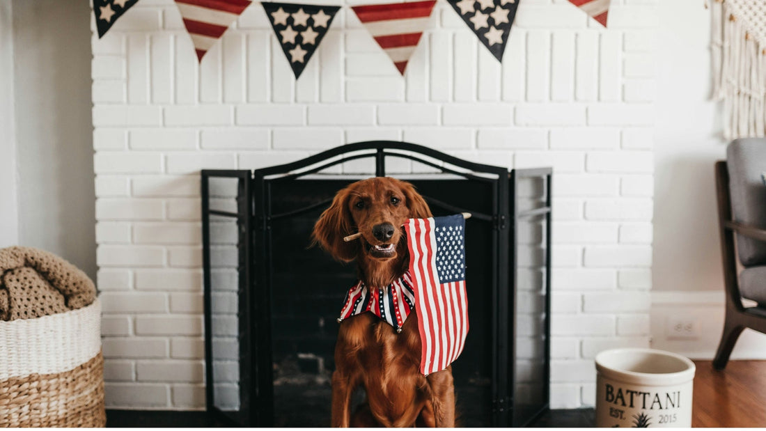 Celebrating the 4th of July with your Pup