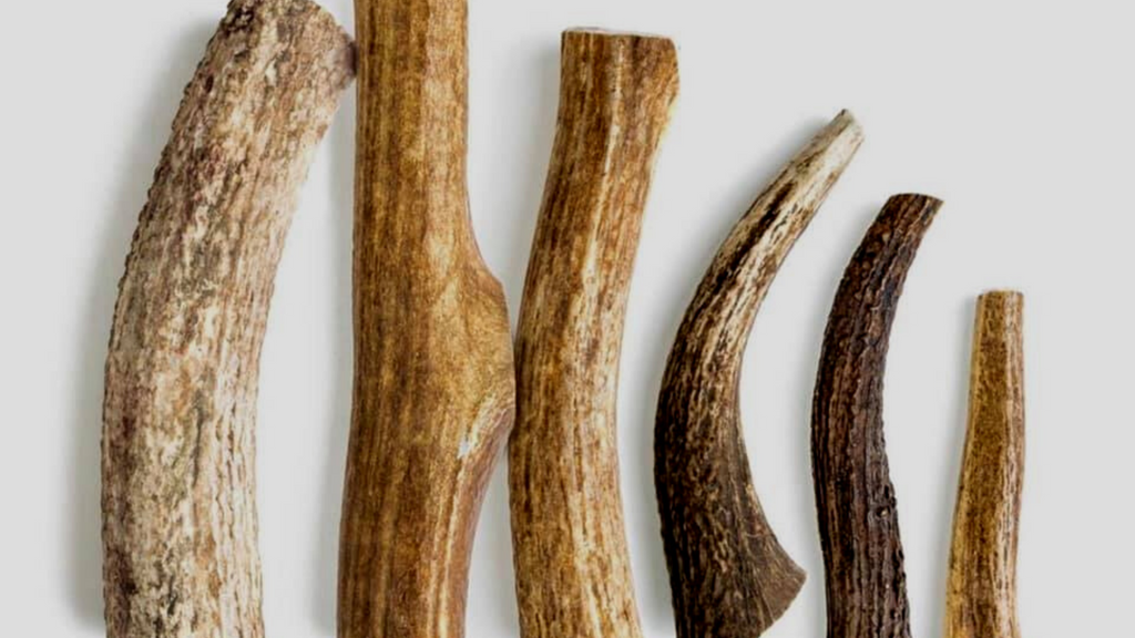 Single Ingredient Dog Treats A Comprehensive Guide to Healthy Snackin