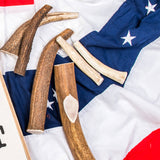 Puppy Antler Chew