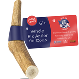 Large Whole Elk Antler Official Dog Chew