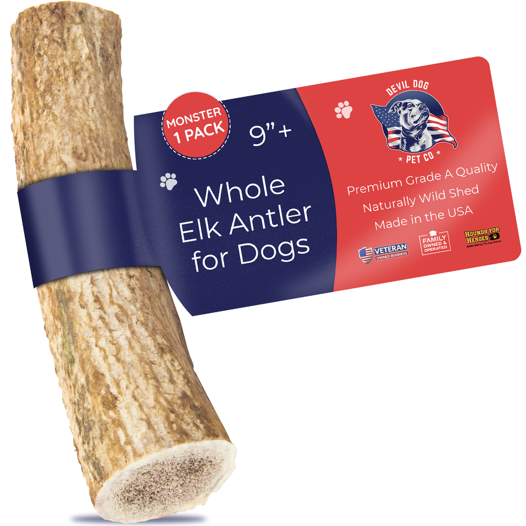 MONSTER Whole Elk Antler Dog Chew
