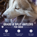 Small - Split Elk Antler Dog Chew - 2 Pack