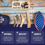 Large Whole Elk Antler Official Dog Chew