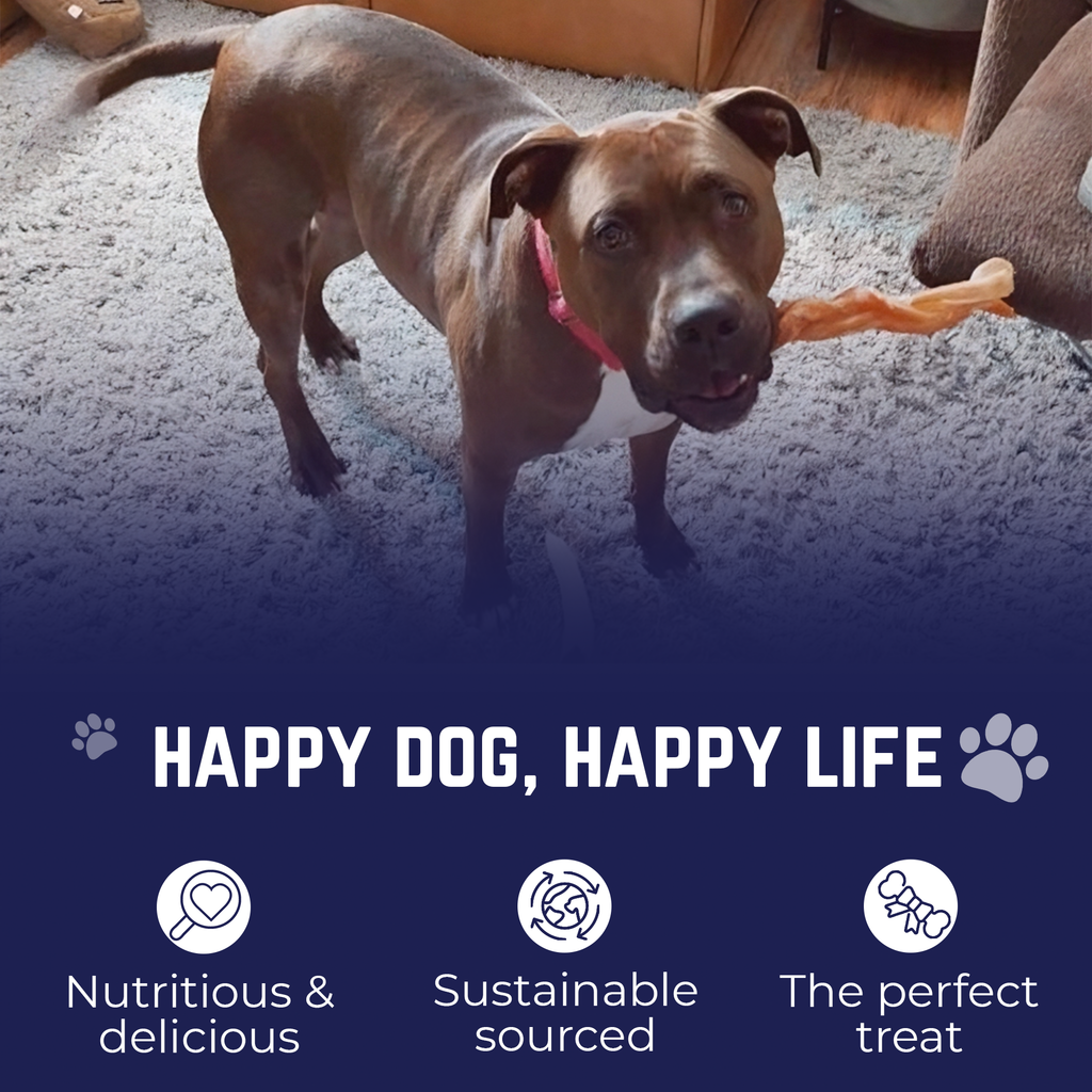 6"  Ultra Thick Bully Stick - 3pk