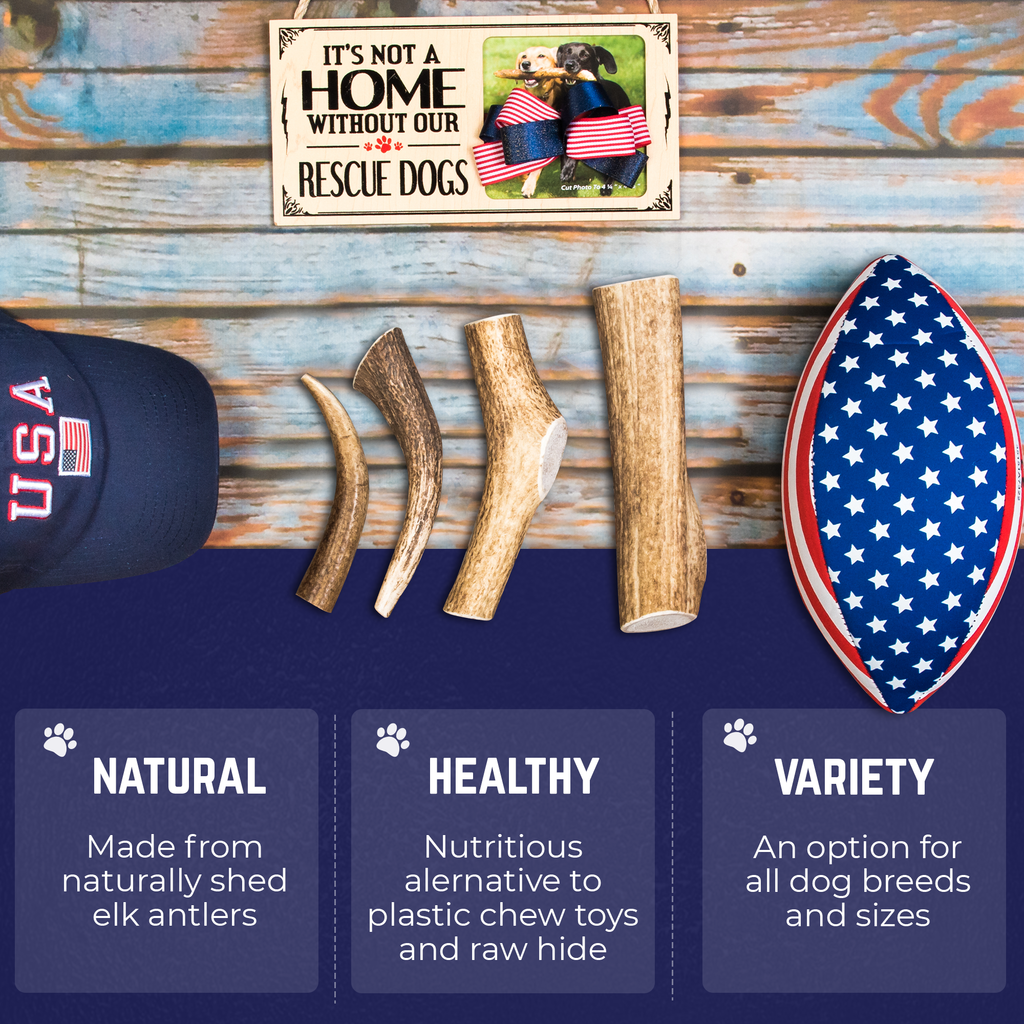Medium Whole Elk Antler Dog Chew