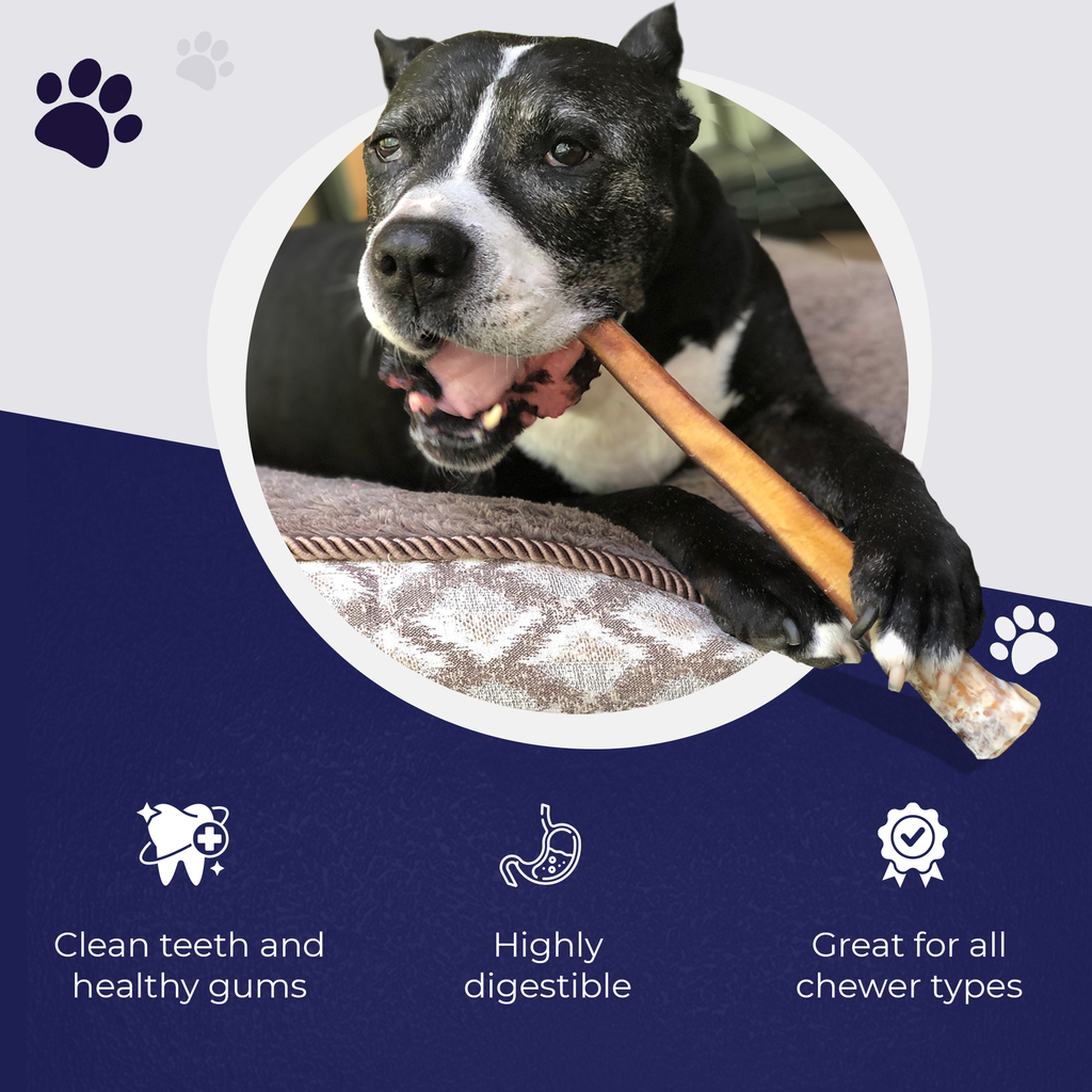 6"  Ultra Thick Bully Stick - 3pk