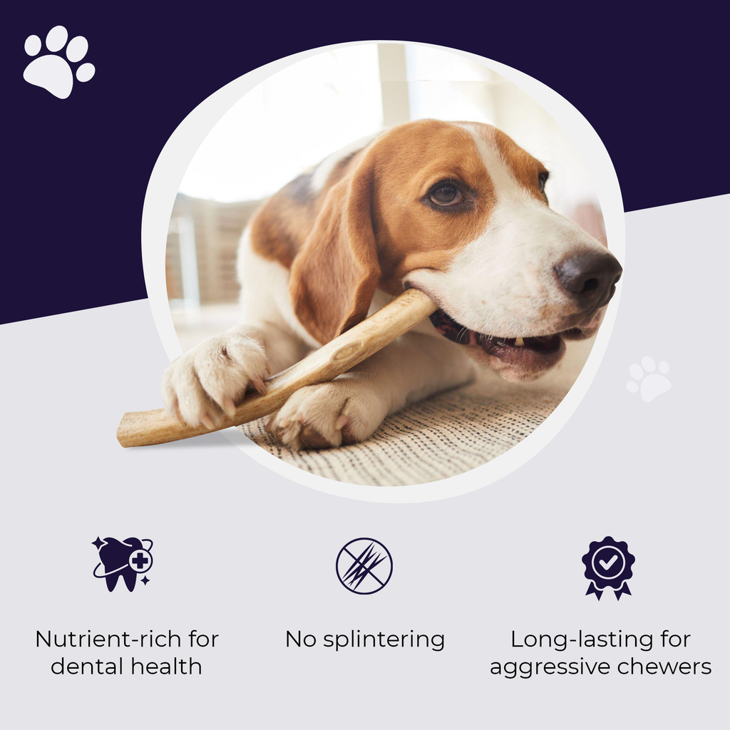 MONSTER Whole Elk Antler Dog Chew