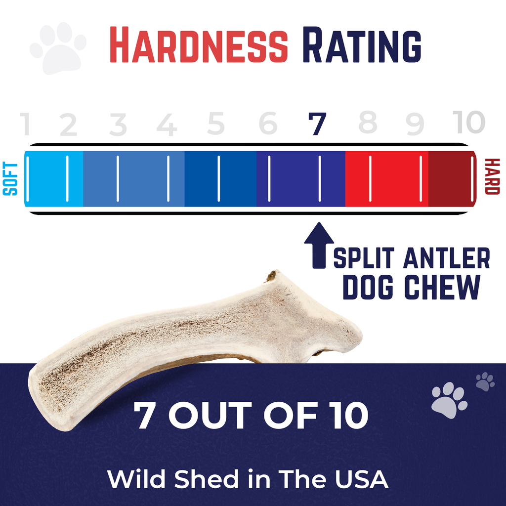 Small - Split Elk Antler Dog Chew - 2 Pack