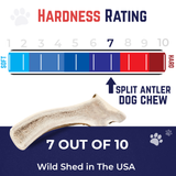 Extra Small - Split Elk Antler Dog Chew - 2 Pack