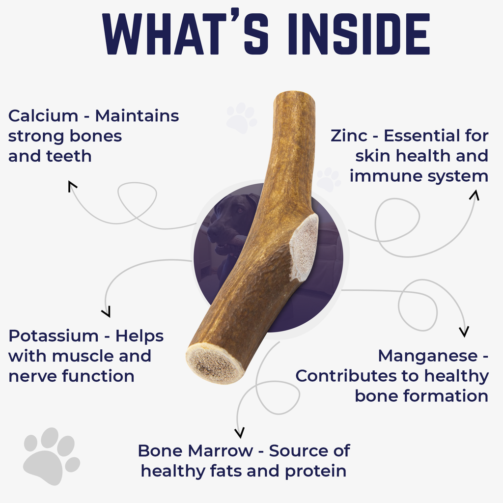 Medium Whole Elk Antler Dog Chew