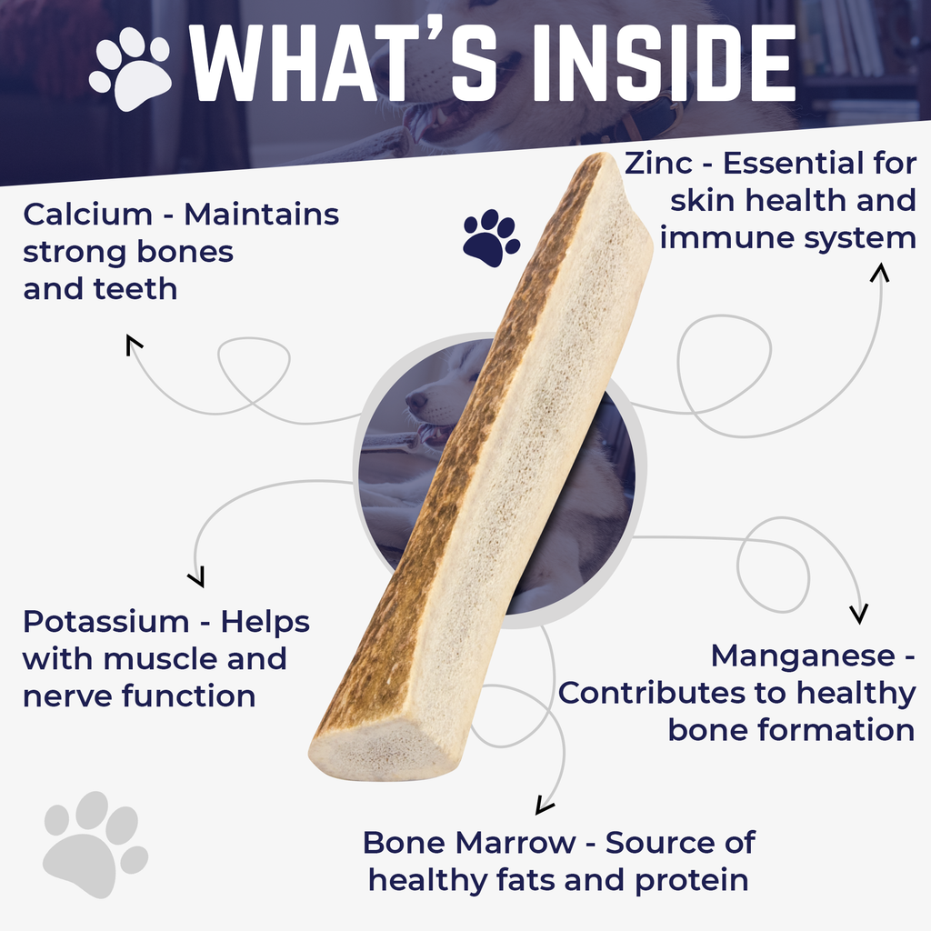 Extra Small - Split Elk Antler Dog Chew - 2 Pack