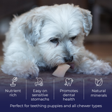 yak chews for dogs