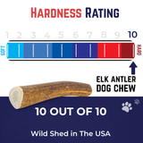 Medium Whole Elk Antler Dog Chew