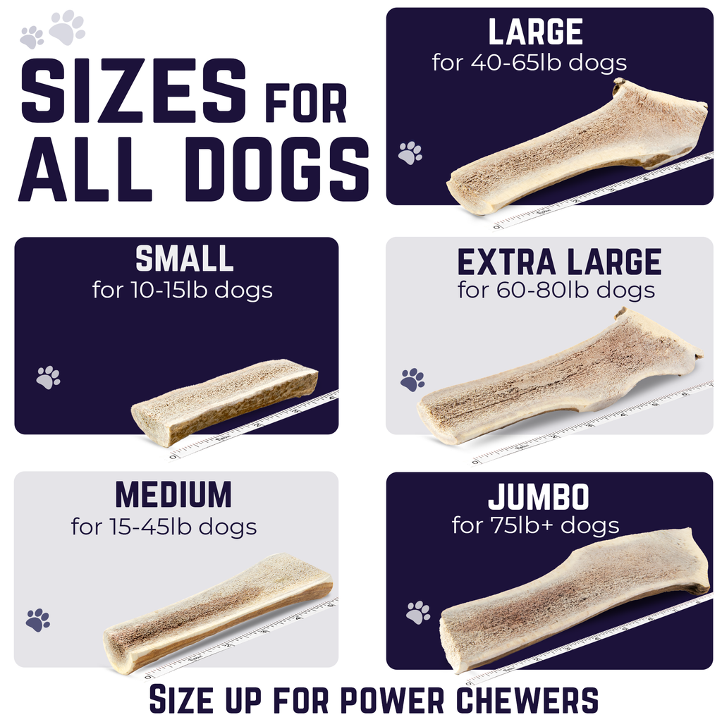 Small - Split Elk Antler Dog Chew - 2 Pack