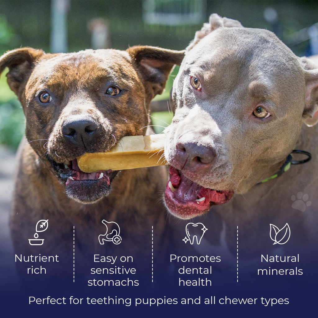 yak chews for dogs