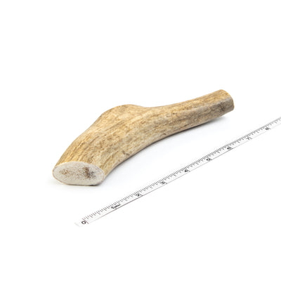 Medium/Large Whole Elk Antler Dog Chew - Devil Dog Pet Co