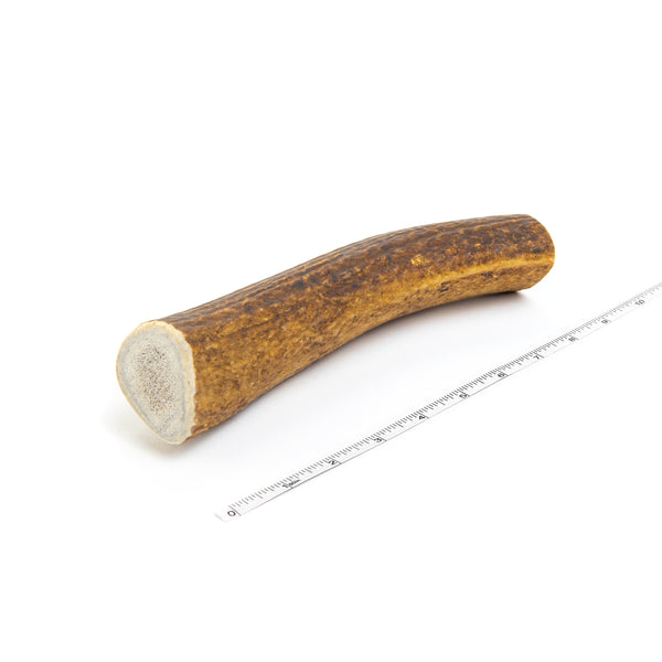 Split Premium Elk Antler Dog Chew – Yellowstone Antlers