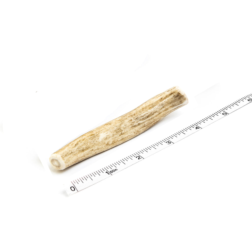 Extra Small Whole Elk Antlers Dog Chew