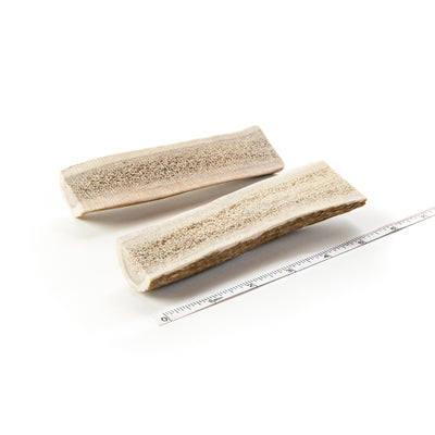 2-Pack Small Split Elk Antler Dog Chew - Devil Dog Pet Co