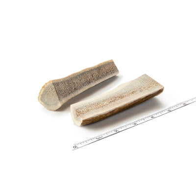 2-Pack Extra Small Split Elk Antler Dog Chew - Devil Dog Pet Co