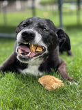 Himalayan Dog Chew Nuggets for Making Yak Chew Cheese Puffs - Need Microwave
