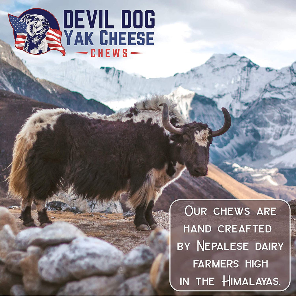 Himalayan Dog Chew Nuggets for Making Yak Chew Cheese Puffs - Need Microwave