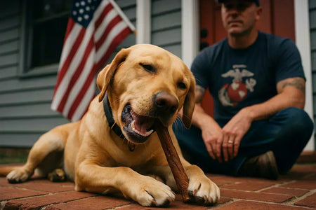Why Bully Sticks Beat Other Natural Dog Chews: 3 Reasons