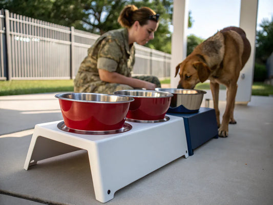 dog bowls