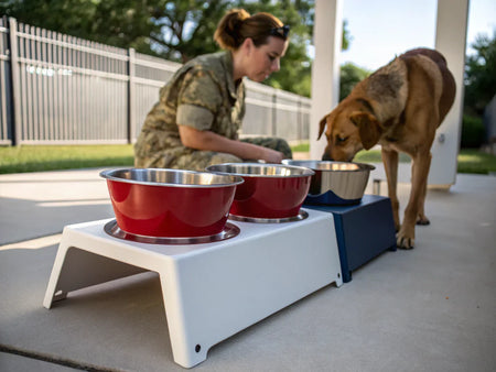 Dog Bowls: 5 Essential Types for Every Canine Need