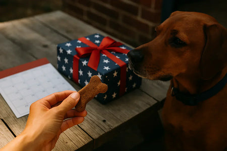 Advent Calendar for Dogs: Essential Guide for 2025