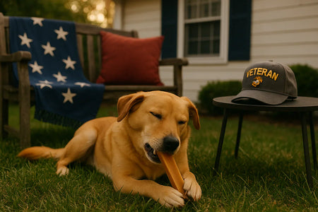 Himalayan Yak Chew: 5 Proven Benefits for Your Dog