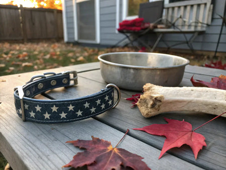 Marrow Bones for Dogs: The Complete 2025 Safety Guide