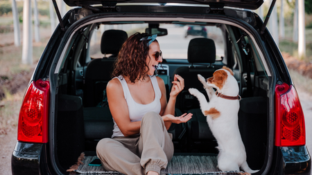 Traveling with Dogs: A Comprehensive Guide