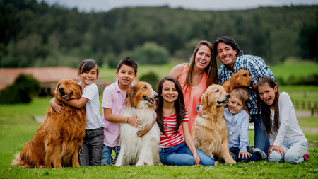 10 Best Dogs For Families With Young Children