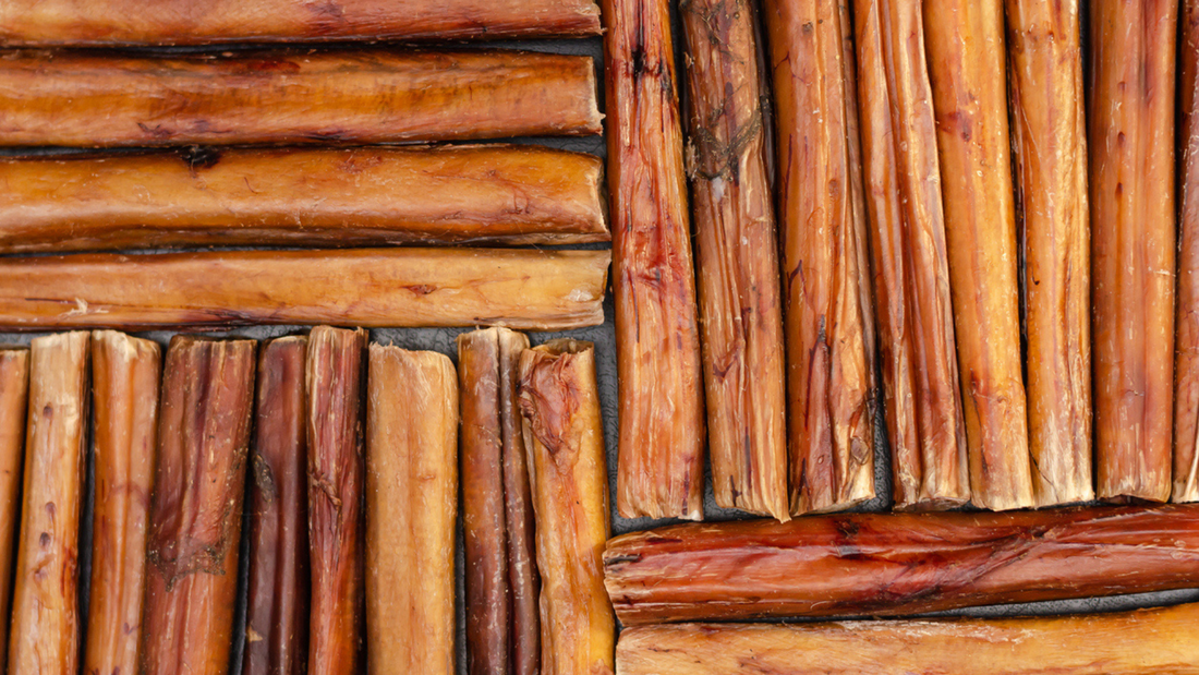 Bully Sticks Side Effects: What Every Dog Owner Should Know