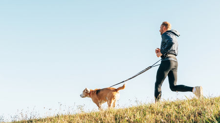 Why Regular Exercise is Non-Negotiable for Your Pup?