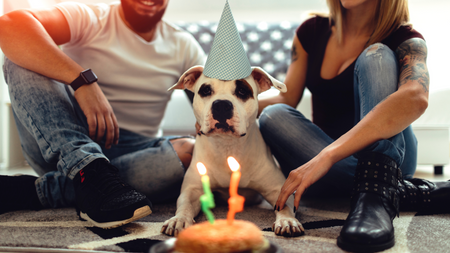 Celebrating Your Dog's Birthday: Tips and Ideas for a Memorable Celebration