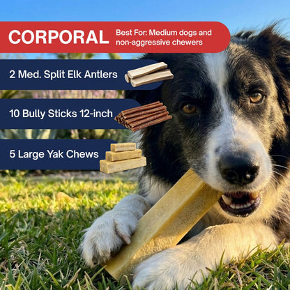 Tough Chew Crew Pack