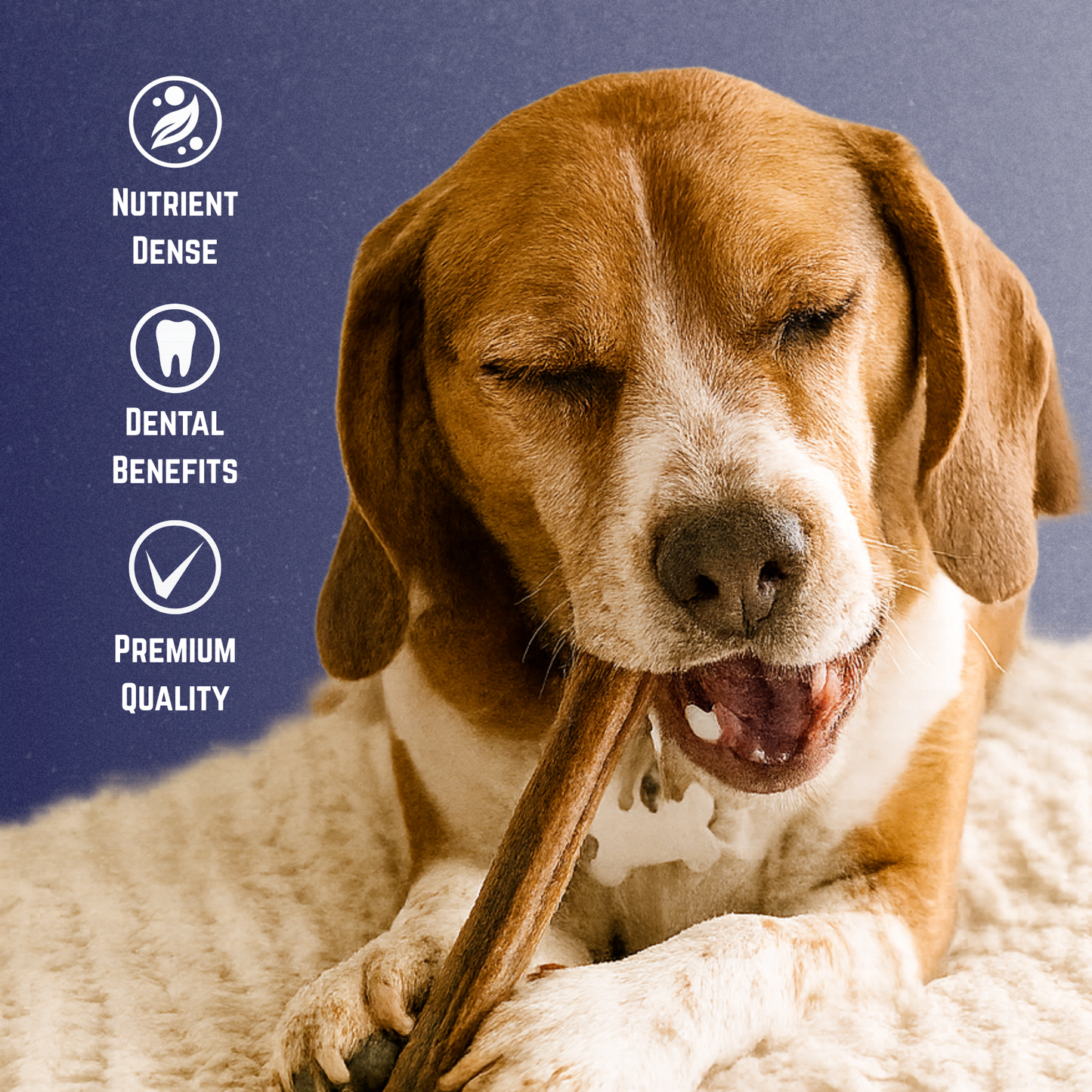 Premium Bully Stick Dog Chews