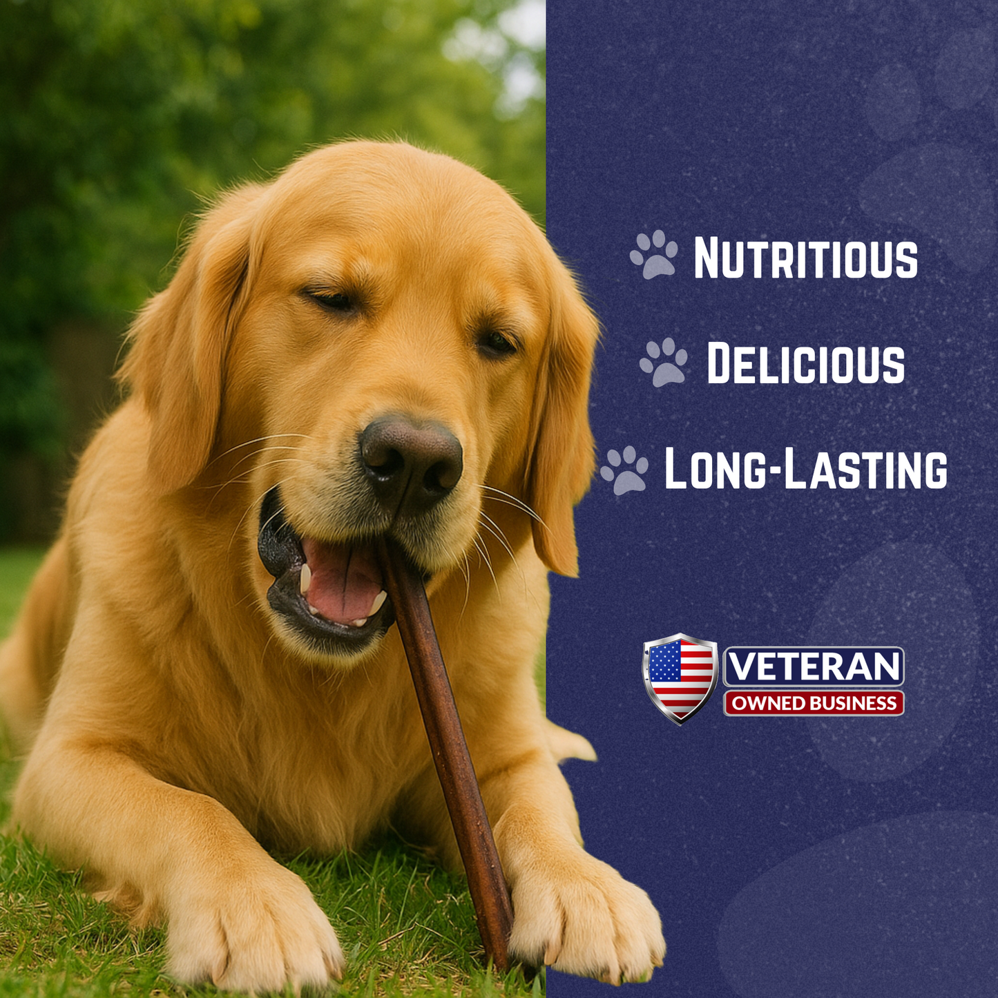 Premium Bully Stick Dog Chews