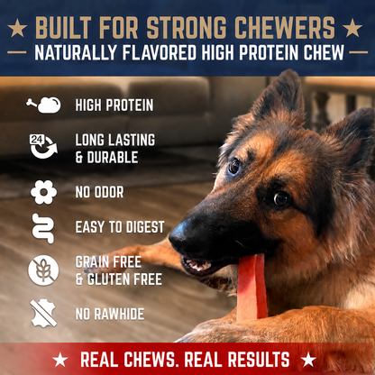 The Patriot Pack: Honoring Blue Star Service Dogs