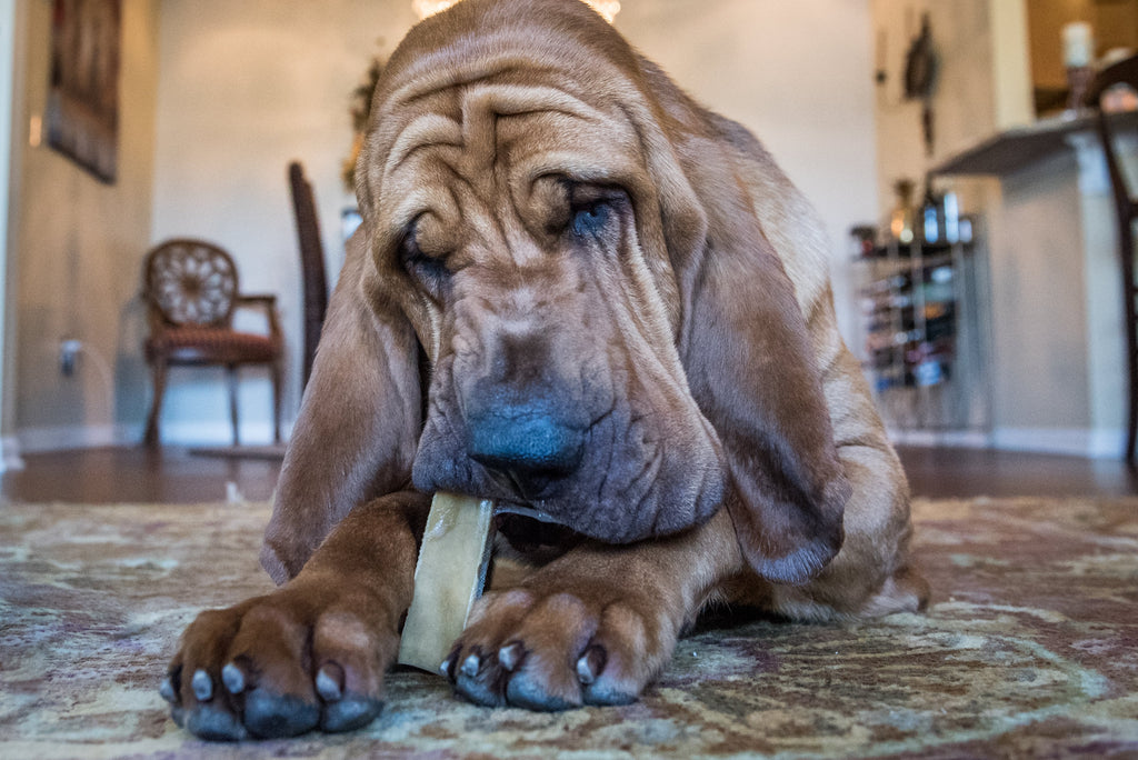 Beast - Himalayan Dog Chew