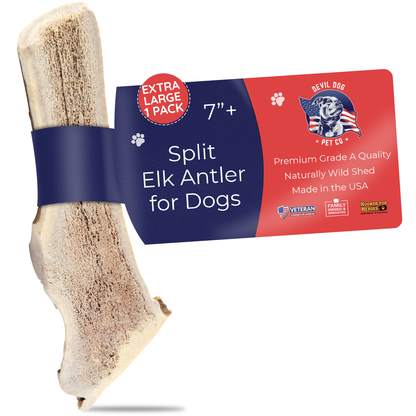 Whole & Split Elk Antler - Devil Dog Pet Co