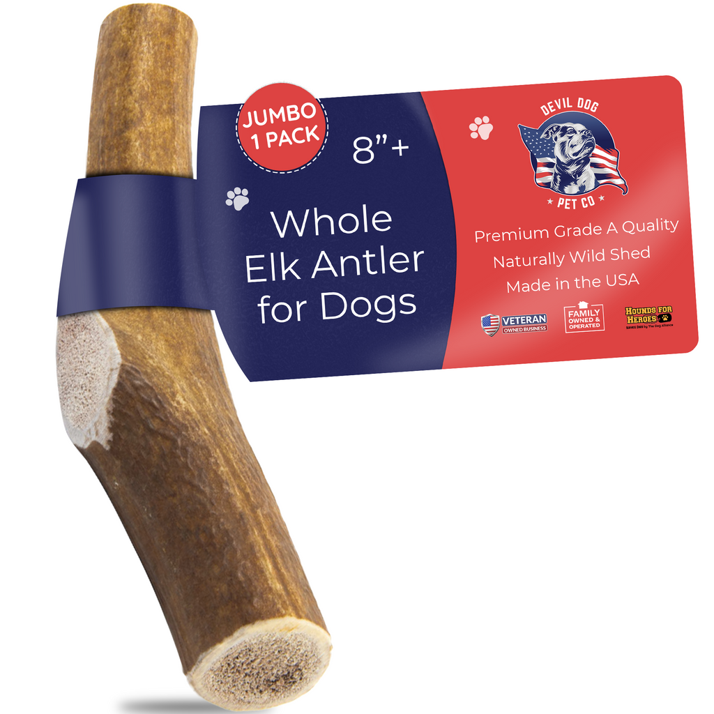 Jumbo Whole Elk Antler Dog Chew