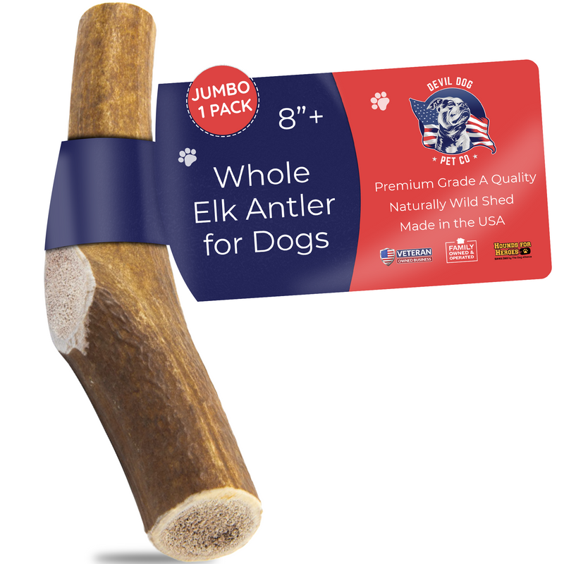 Elk chews for dogs hot sale