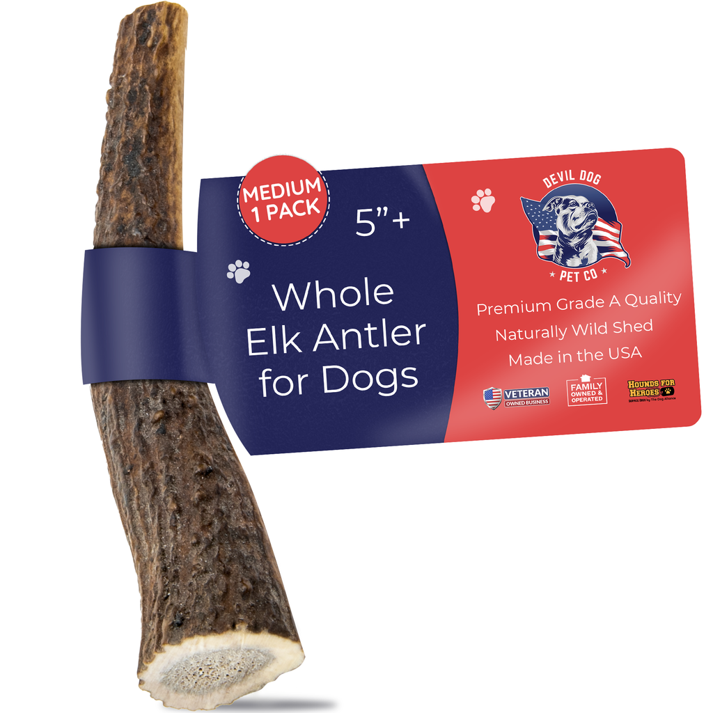 Medium Whole Elk Antler Dog Chew