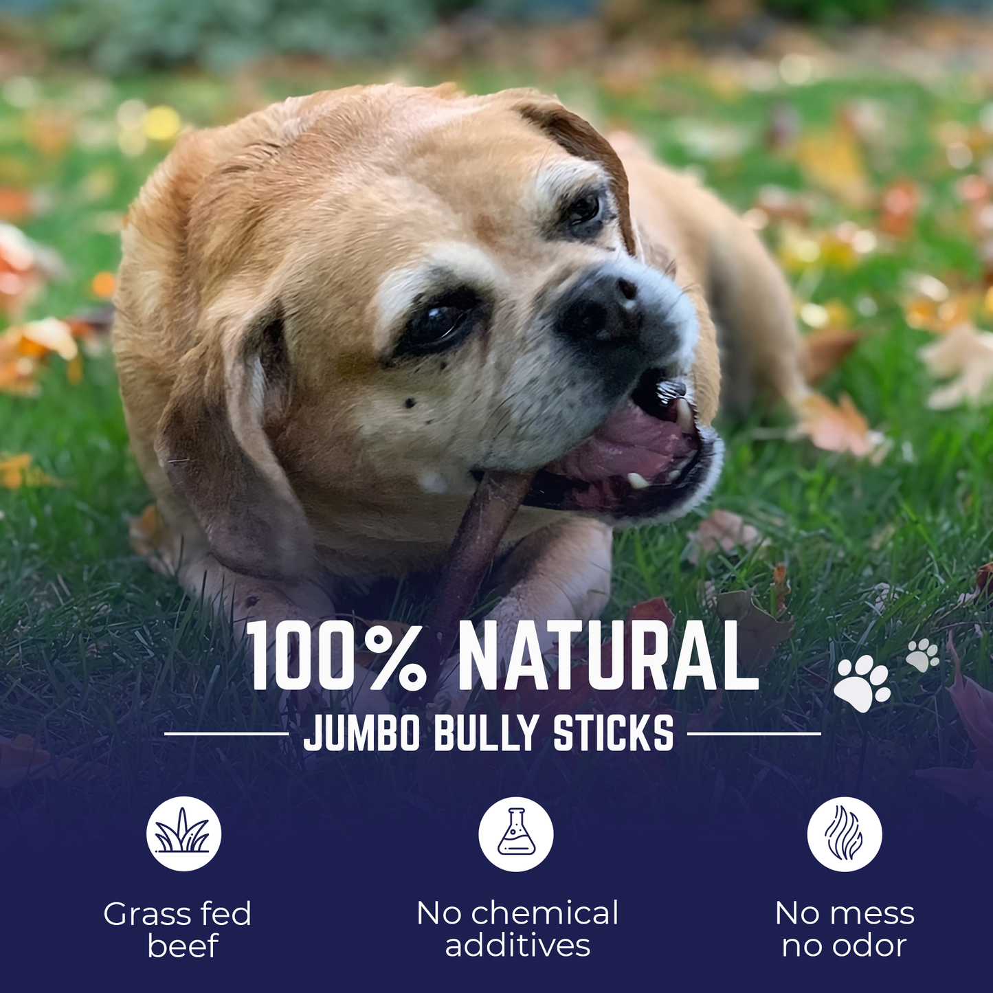 Premium Bully Sticks - Devil Dog Pet Co