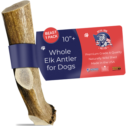 Whole & Split Elk Antler - Devil Dog Pet Co